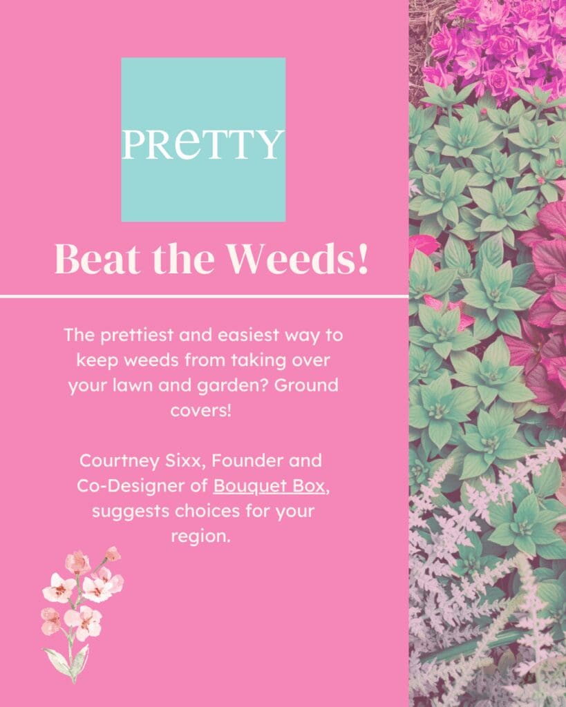 Graphic that says "Beat the Weeds!"