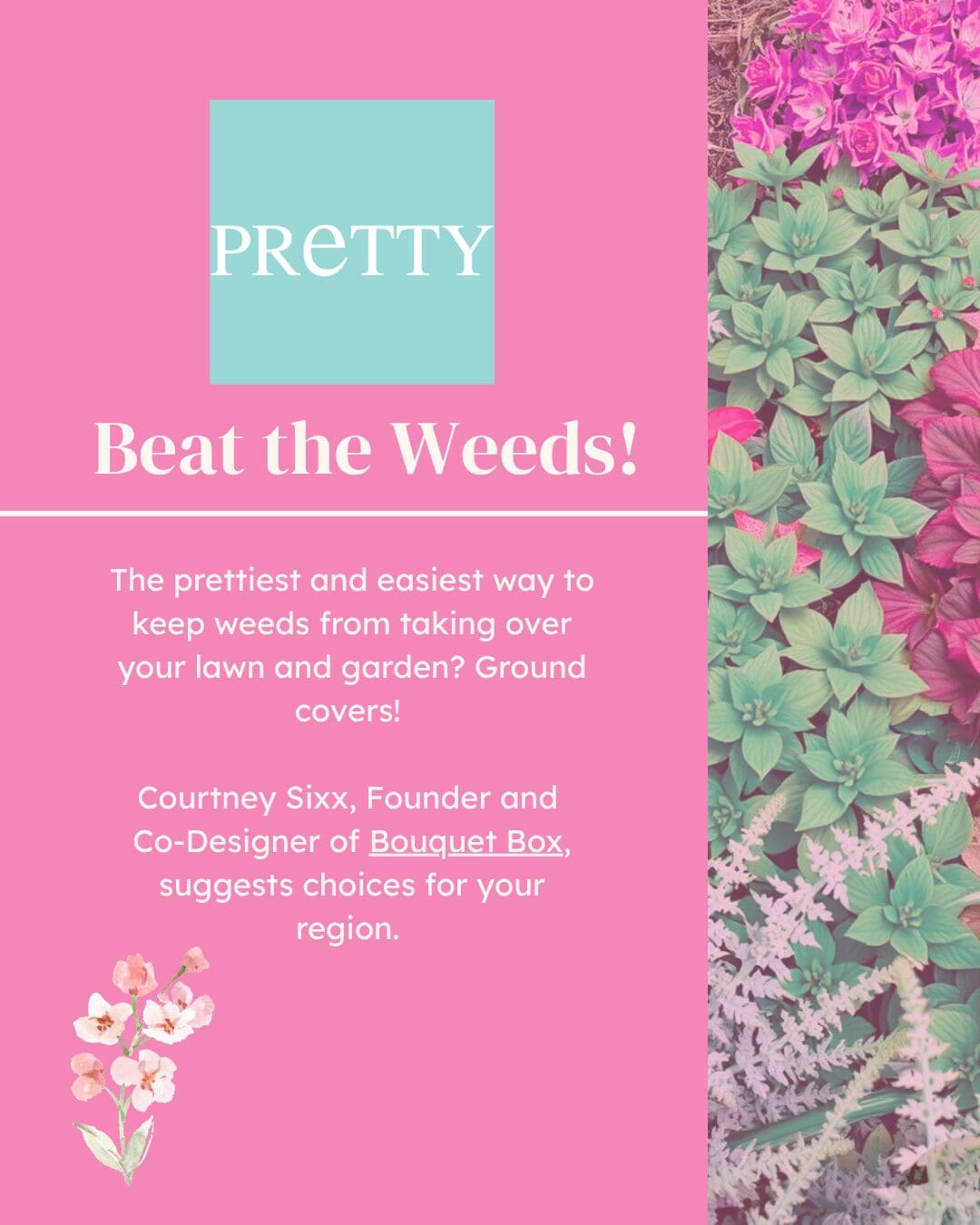 Graphic that says "Beat the Weeds!"
