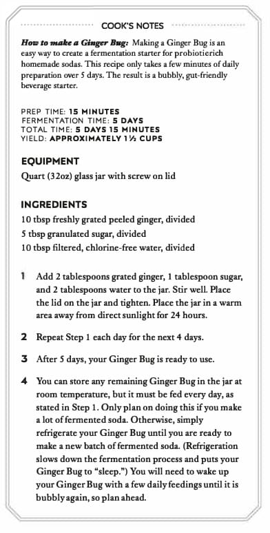 How to make a ginger bug instructions