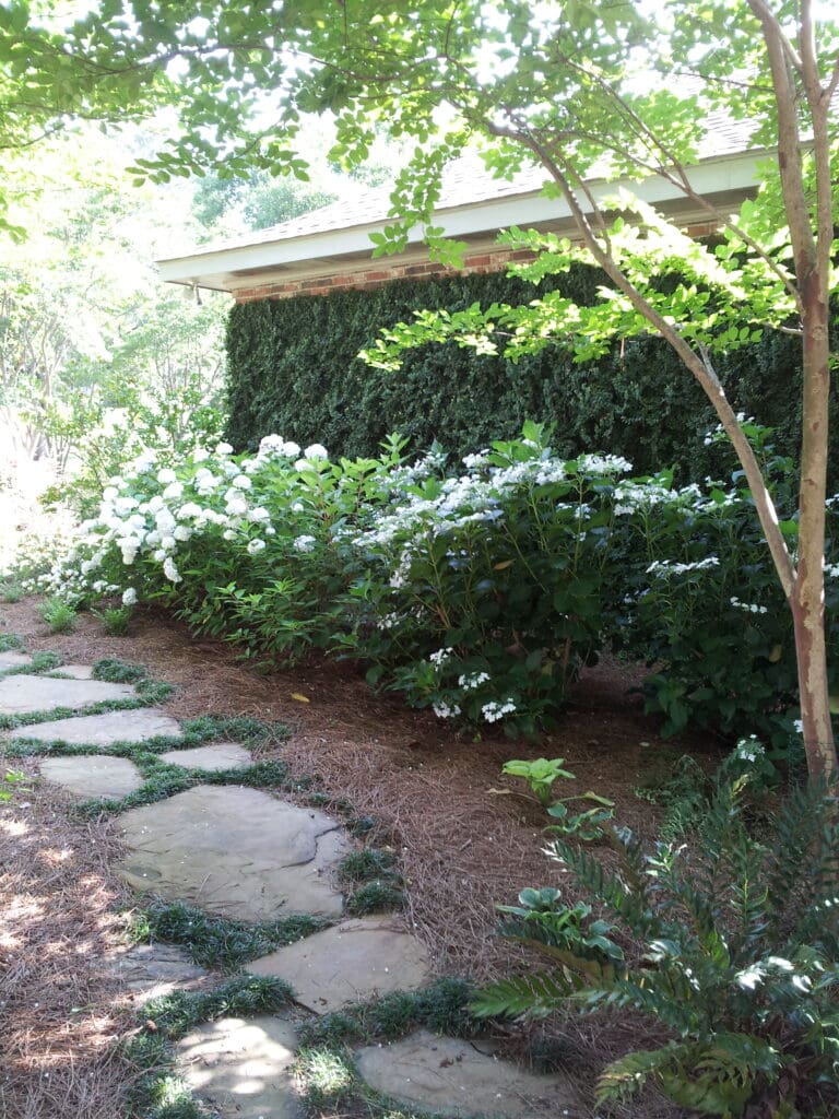 Enchanted garden with path