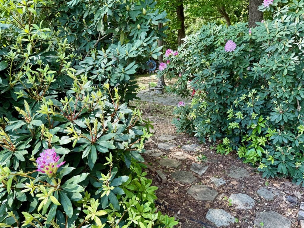 garden path