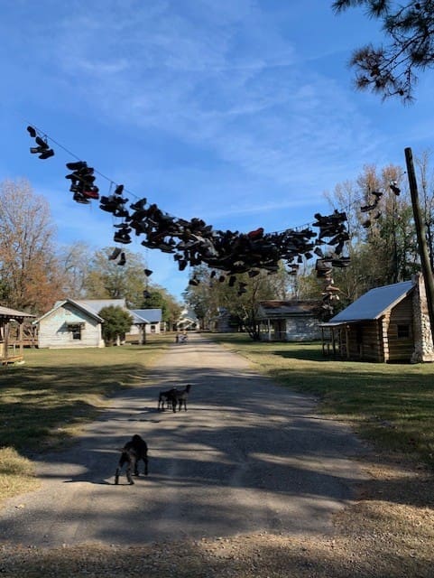 Big Fish set with shoes on wire