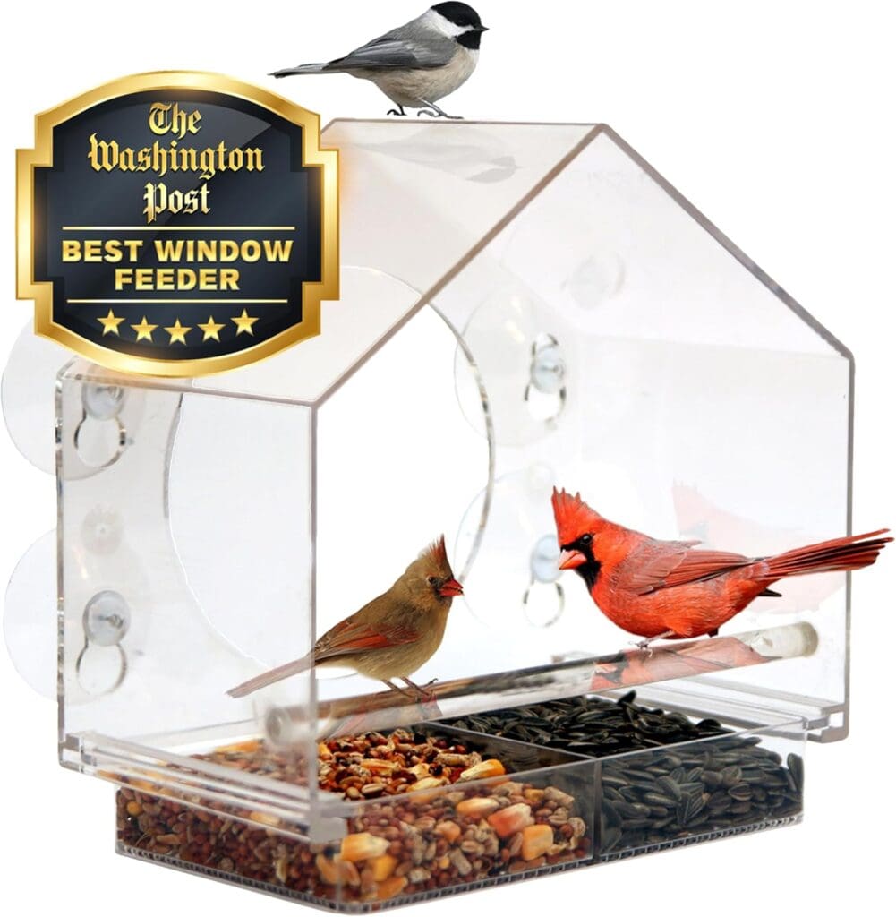 window bird feeder
